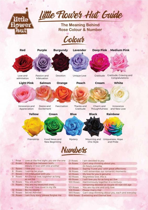 Rose Color Chart Meanings Rose Color Meanings Yellow
