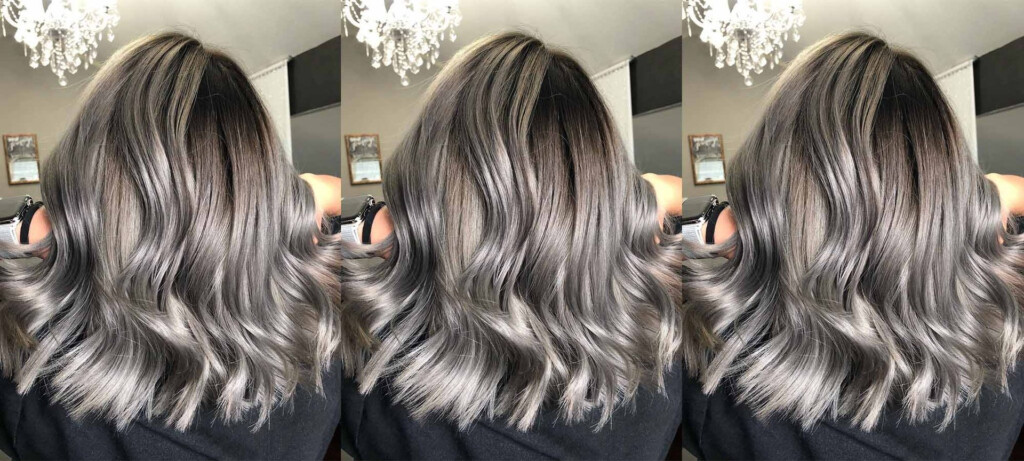 Rubicundo Viajero Mono Gray Hair Color Chart Cilios Persona A Cargo Del 
