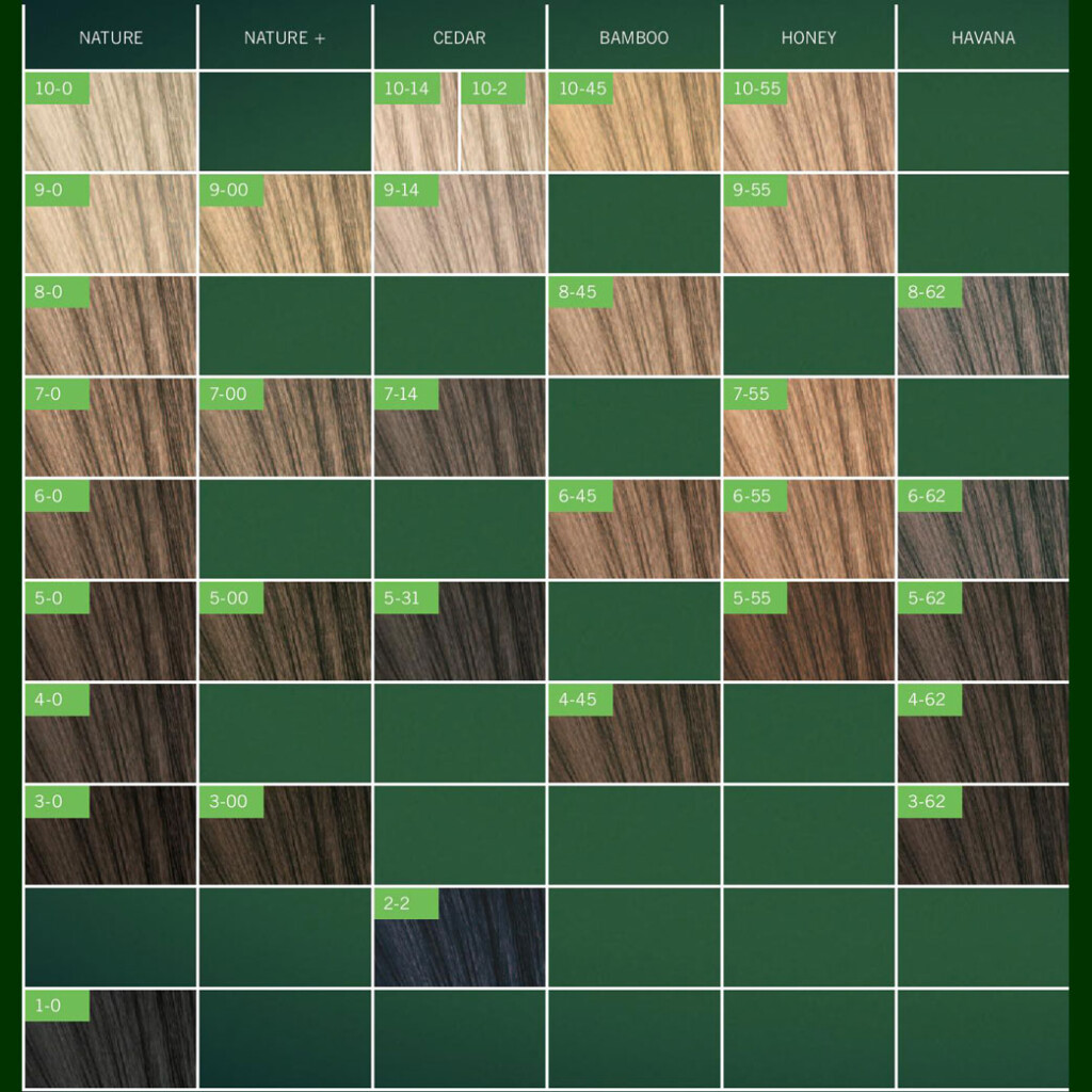 Schwarzkopf Color Chart