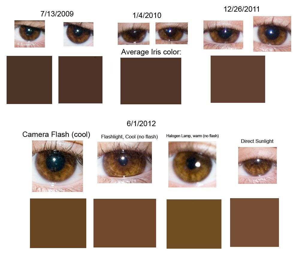 Shades Of Brown Eye Color Chart