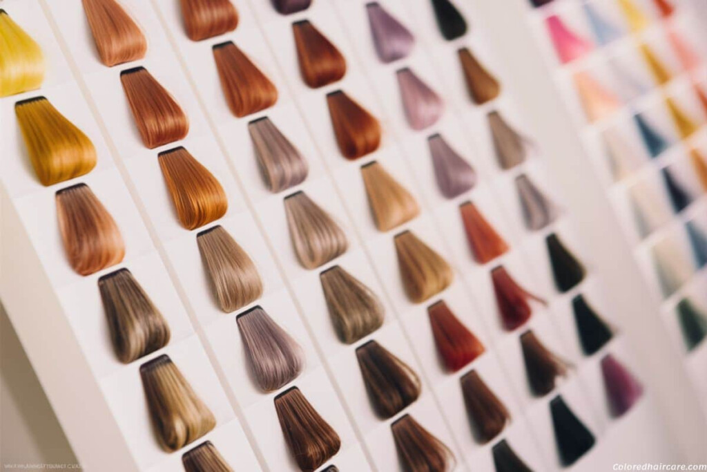 Shades Of Brown Hair Color Chart Infoupdate