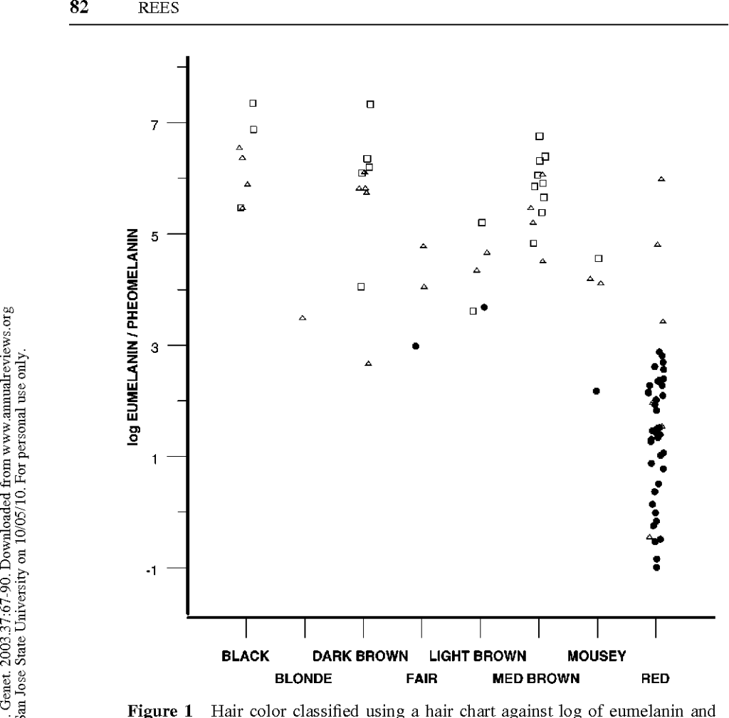 Skin Color Genetics Chart A Visual Reference Of Charts Chart Master