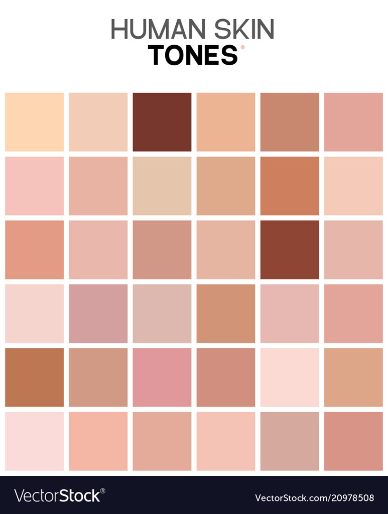 Skin Tone Color Chart Human Skin Texture Color Vector Image