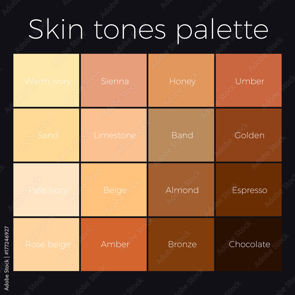 Skin Tones Chart Stock Vector Adobe Stock