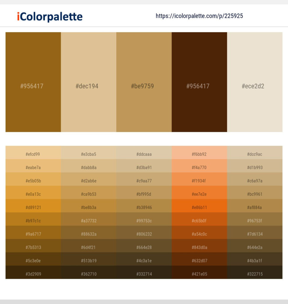 Spray Tan Color Chart