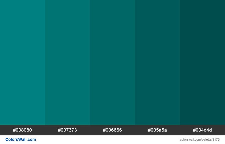 Teal Color Shades ColorsWall