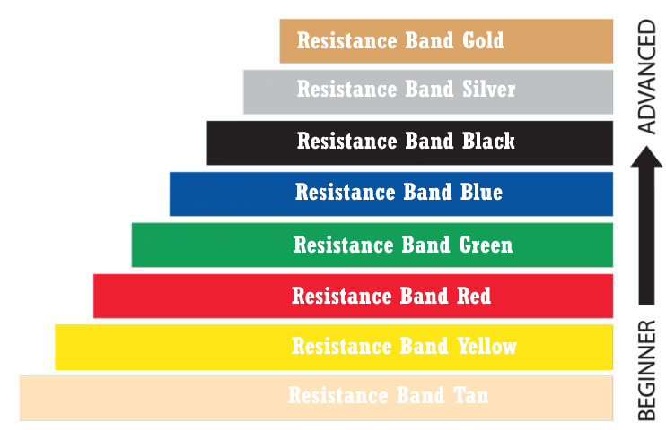 The Complete Guide To Resistance Bands Workout Trends