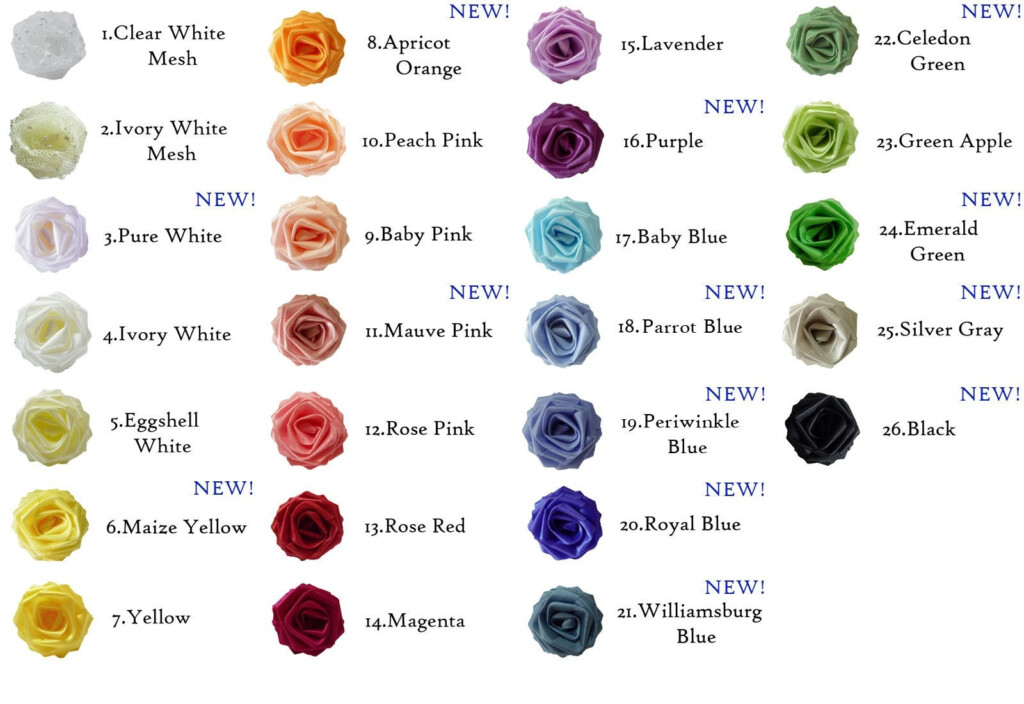 The Meaning Of Rose Colors Rose Color Meanings Rose M Vrogue co