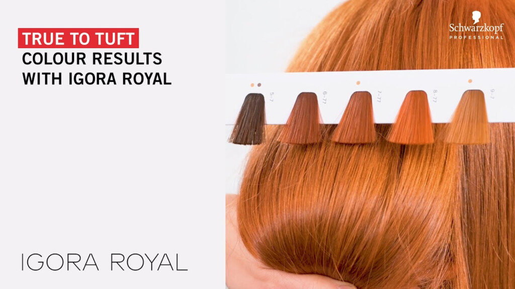Top 107 Igora Permanent Hair Color Chart Polarrunningexpeditions