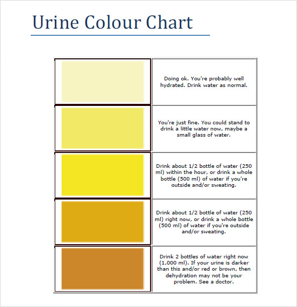 Urinary Tract Infection Dog Urine Color Chart Cali Tamika
