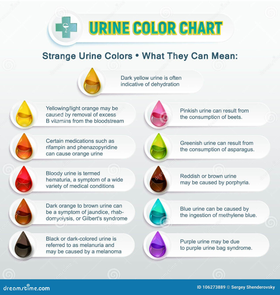 Urine Color Chart 2 Cartoon Vector CartoonDealer 106273889
