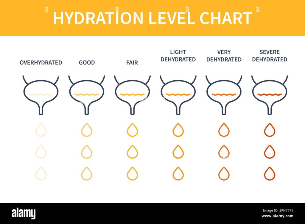 Urine Color Hydration Chart Illustration Of Bladders Stock Vector Image 