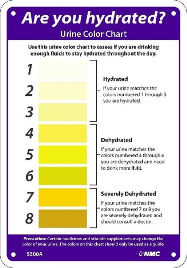 Urine Color Hydration Chart My XXX Hot Girl
