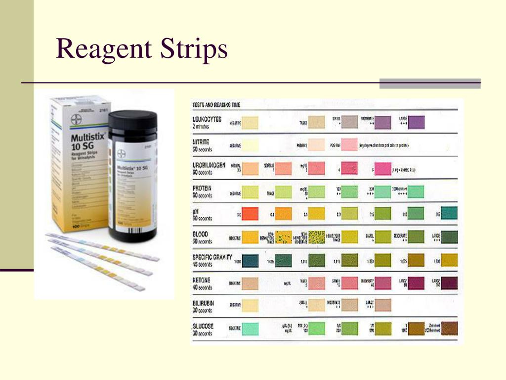 Urine Reagent Strips