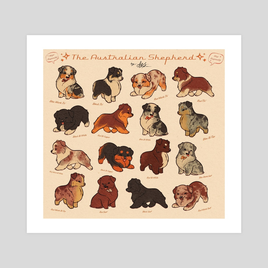 Vintage Australian Shepherd Color Chart An Art Print By Savannah 